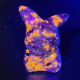 pikachu yooperlite pokemon