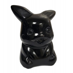 Pikachu onyx noire pokemon