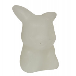 Pikachu aragonite pokemon