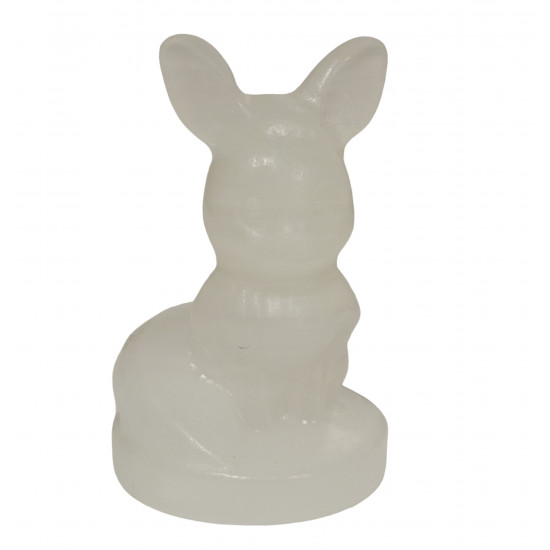 eevee aragonite pokemon