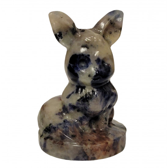 eevee sodalite pokemon