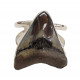 Sterling Silver real megalodon fossil tooth Bracelet