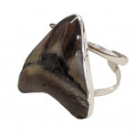 Sterling Silver real megalodon fossil tooth Bracelet