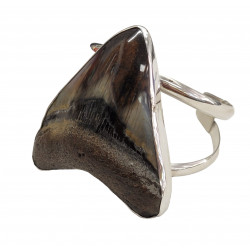 bracelet dent de megalodon argent 