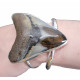 Sterling Silver real megalodon fossil tooth Bracelet