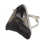 Sterling Silver real megalodon fossil tooth Bracelet