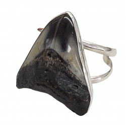 bracelet dent de megalodon argent 