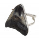 Sterling Silver real megalodon fossil tooth Bracelet