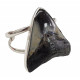 Sterling Silver real megalodon fossil tooth Bracelet