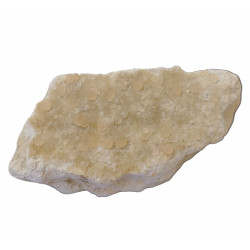 Chalcedony