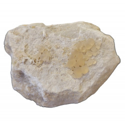 Chalcedony