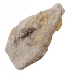 Chalcedony