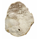 stellerite