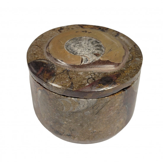 fossil marble box 