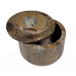 fossil marble box 