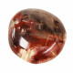 palm stone fossil wood