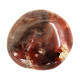 palm stone fossil wood
