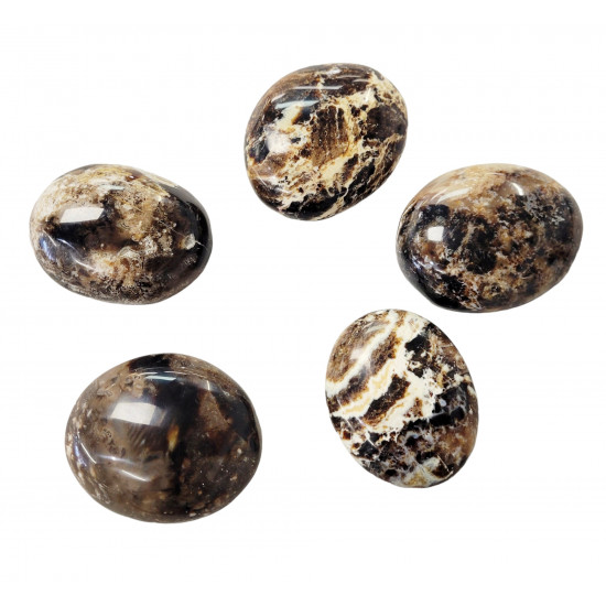 palm stone black opal