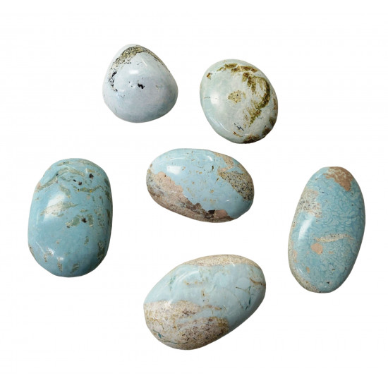 palm stone Turquoise