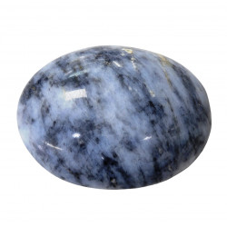 palm stone blue dendrite opal