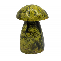 Champignon opale verte