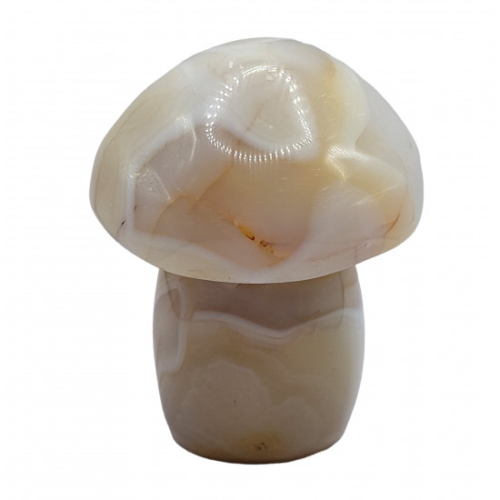 mushroom agate