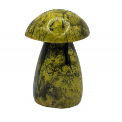 Champignon opale verte