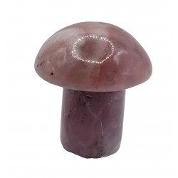 champignon opale rose