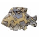 Fish yellow septarian