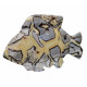 Fish yellow septarian