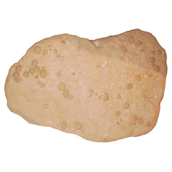 Oolopygus pyriformis