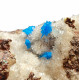 Pentagonite on stilbite