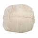 stylemys nebrascensis (turtle)