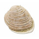 venus multilamella