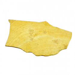 sinosura kelheimense