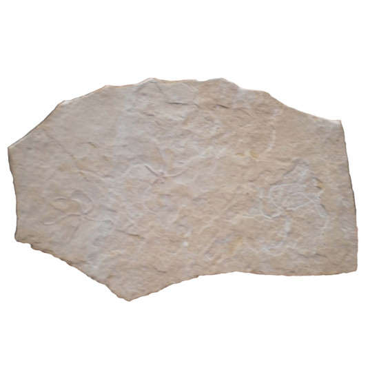 Sinosura kelheimense