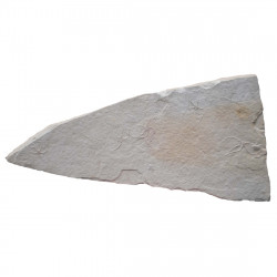 Sinosura kelheimense
