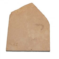 Hefriga serrata