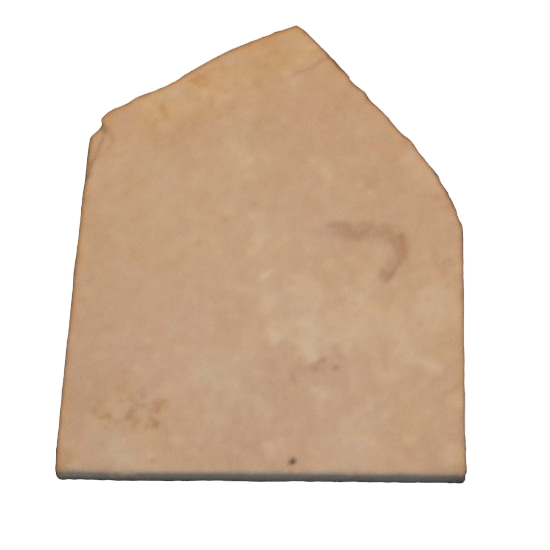 Hefriga serrata