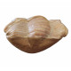 Illaenus sinuatus