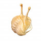 Asaphus kowalewskii