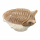 Asaphus punctatus