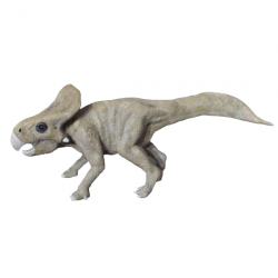 protoceratops andrewsi 3D