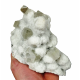 apophyllite on morderite