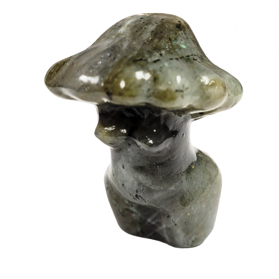 venus-mushroom labradorite 2 inch
