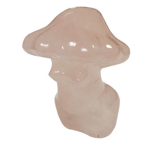 venus-mushroom rose quartz 2 inch