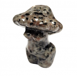 venus-champignon jaspe kiwi 5cm