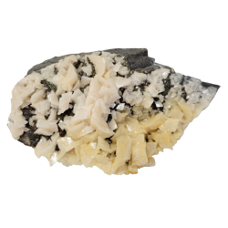 Dolomite and calcite 
