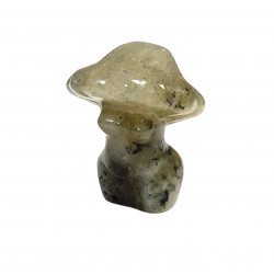 venus-champignon labradorite 3cm