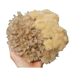 Gypsum